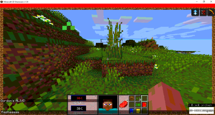 Minecraft 3d goes basics back